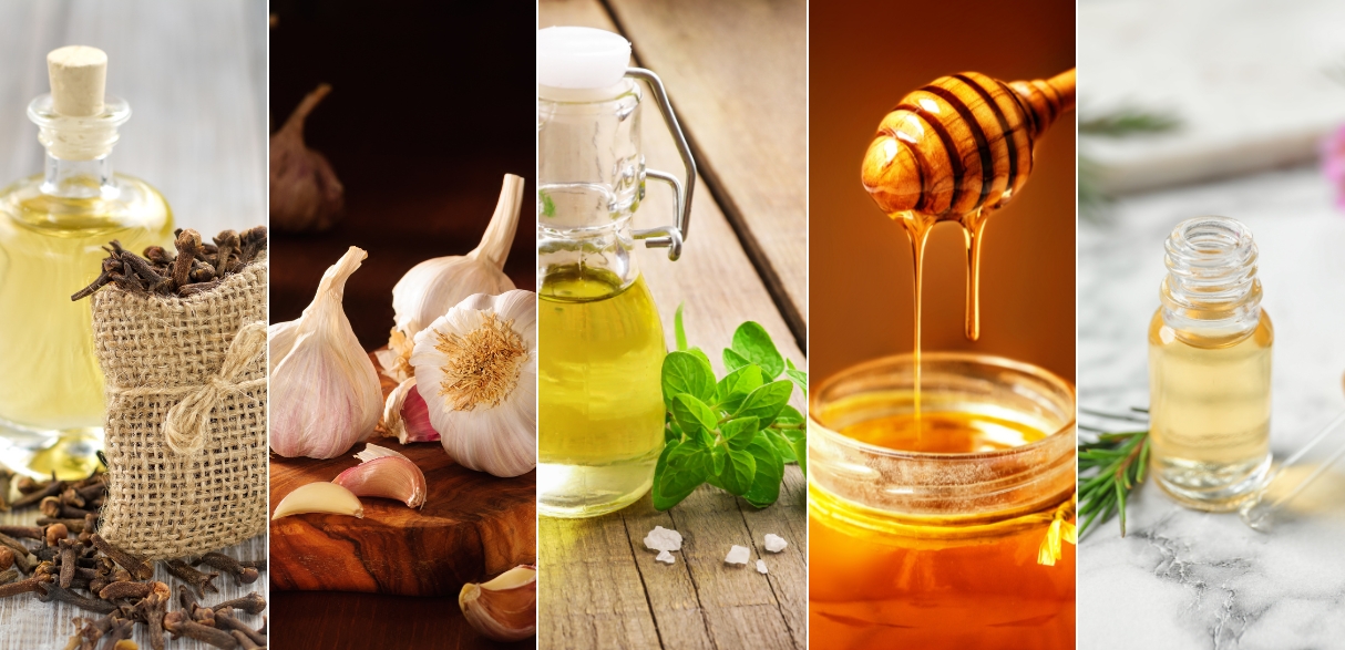 strongest natural antibiotic for tooth infection