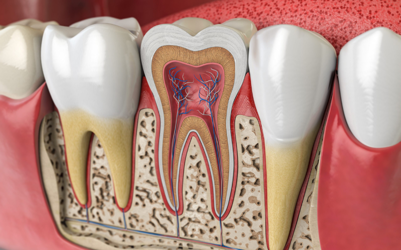 Tips for non-surgical root canal aftercare